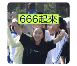 227360384