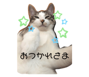 227485300