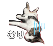 227485319