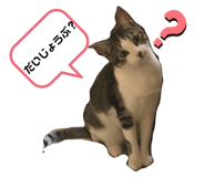 227485323