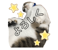 227485327