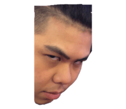 227552875