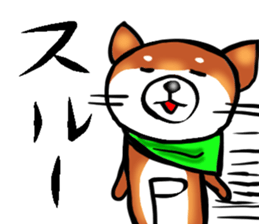 2275799