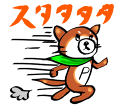 2275804