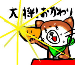 2275811