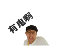 227663878