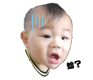227676391