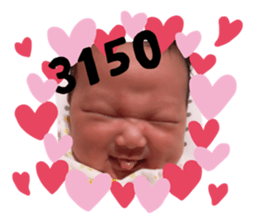 227713705