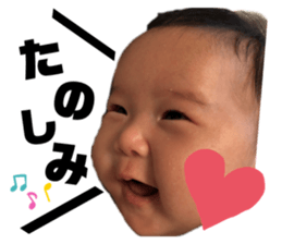 227718026