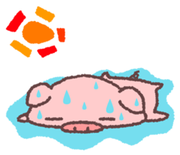 227723