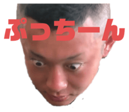 227764566
