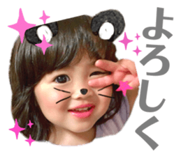 227783533