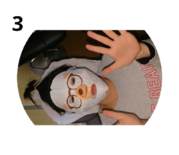 227806577