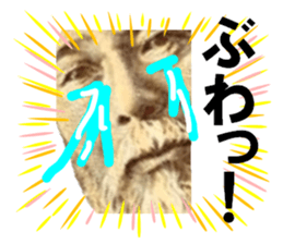 227817578
