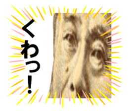 227817592