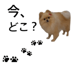 22796295
