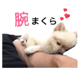 22796298