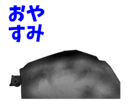 22797606