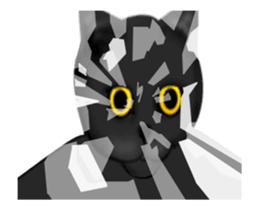 22797607