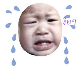 228024601