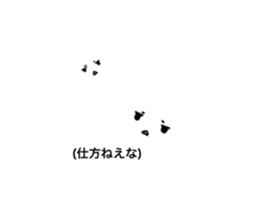 228047512