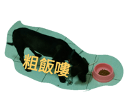 22804906