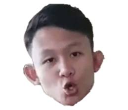 228050982