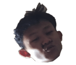228050983