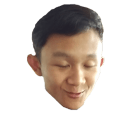 228050986