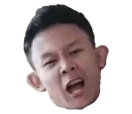 228050987