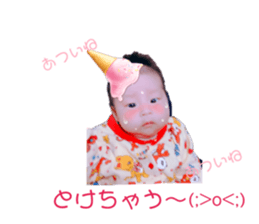 228054652
