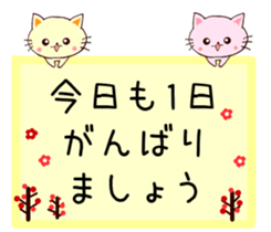 228084544