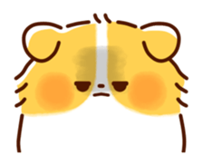 228104898