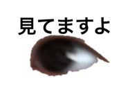 22811255
