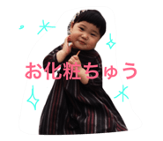 22811262