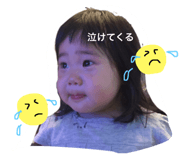 22811263