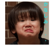 228142144