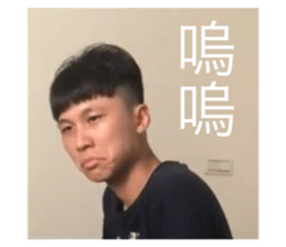 228143193