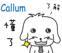 228243477