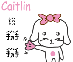228256326