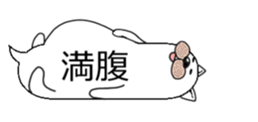 2282577