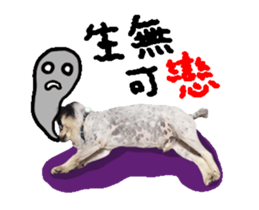 22829336