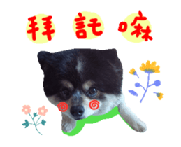 22829338