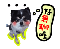 22829339