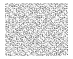 22830373