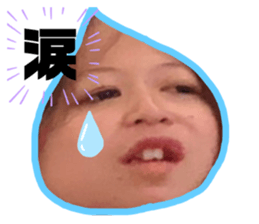 228392204