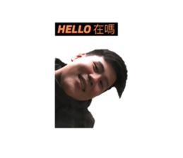 228429880