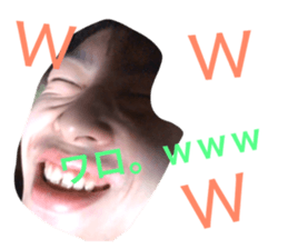 22844681