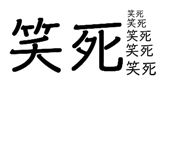 228485664