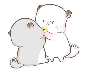 Simao & Bamao ชินชิลลานุ่มนิ่ม รูปที่ 2